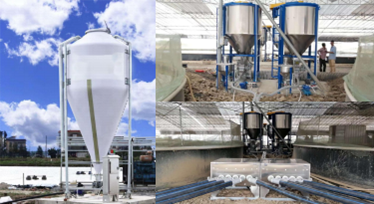 養(yǎng)牛工程(圖2) 養(yǎng)牛工程(圖2)